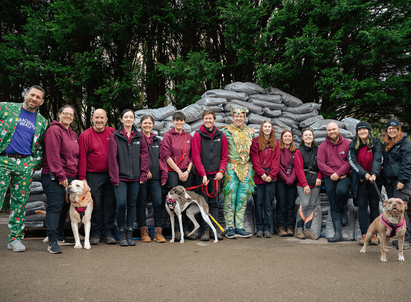 Christmas comes early at Hope Rescue – Miraculous Meals