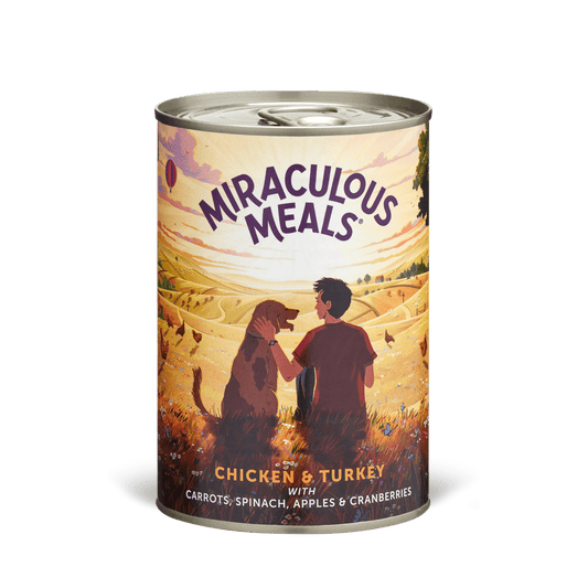 Chicken & Turkey Wet Food