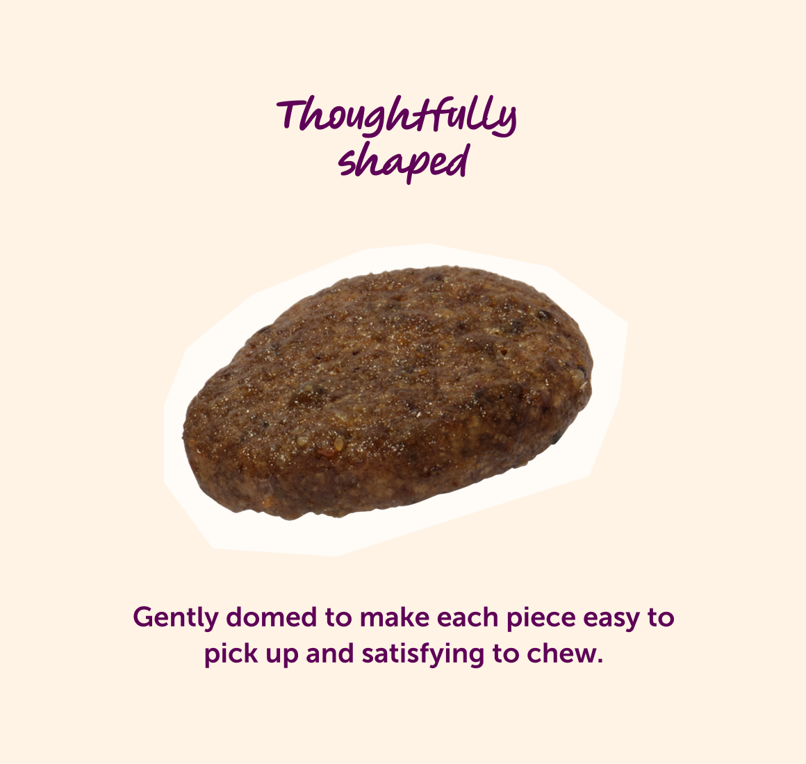 Free Run Chicken Dry Food