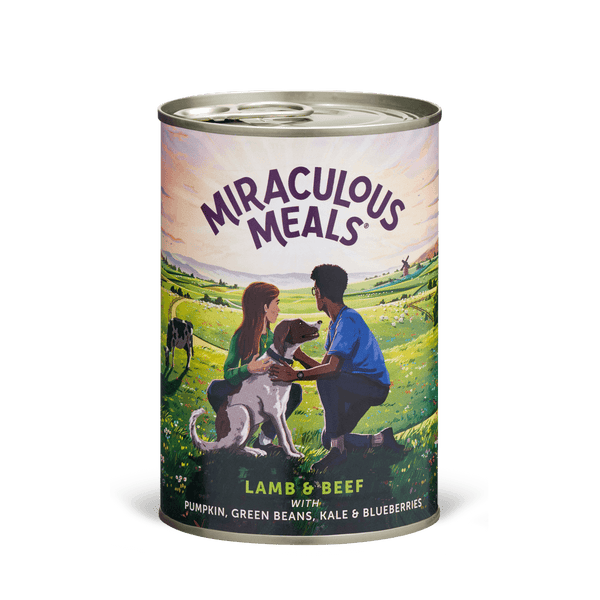 Lamb & Beef Wet Food
