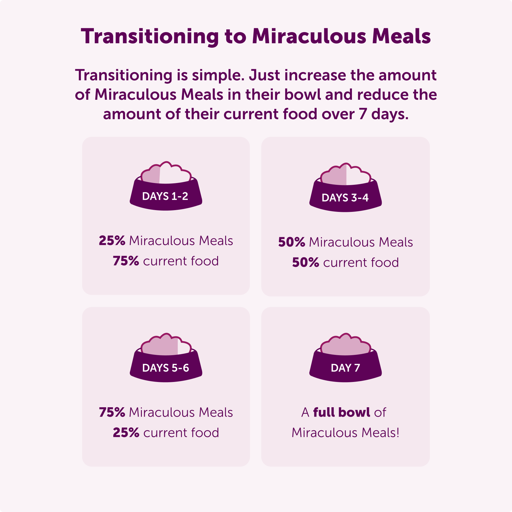Wet Food Variety Box